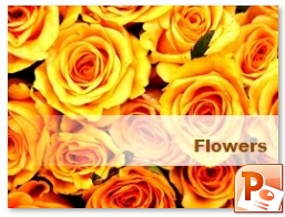 PowerPoint Flowers